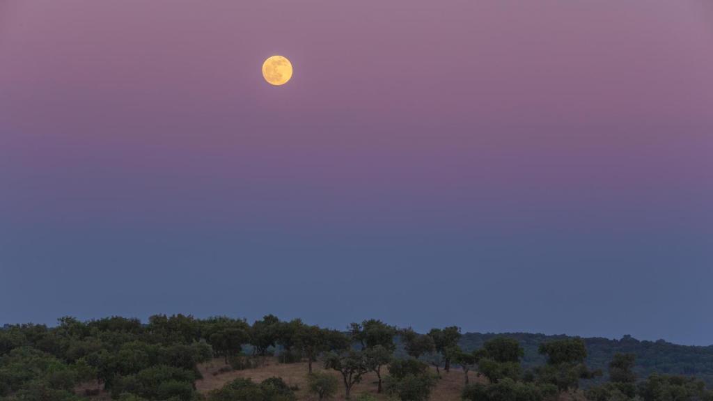 Monte Velho Equo-Resort อาร์ไฮโยลอส ภายนอก รูปภาพ